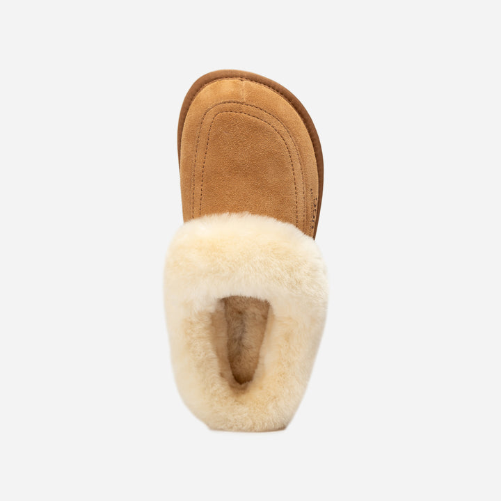 UGG COQUETTE SHEARING MULE