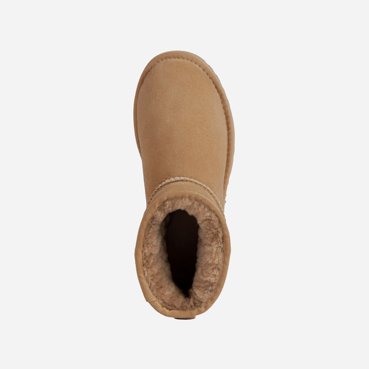 OZWEAR UGG Classic Platform Mini Boots (Water Resistant)