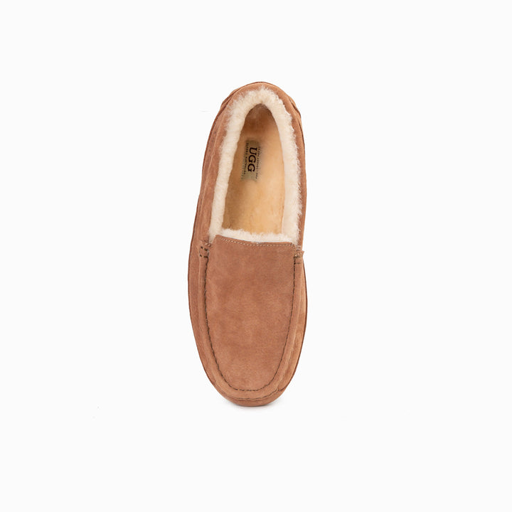 OZWEAR UGG Denver Men's Moccasin (Water Resistant)