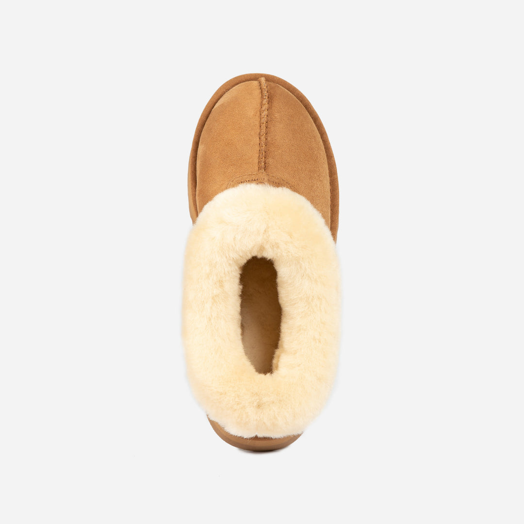 OZWEAR UGG Daniela Ankle Platform Boots