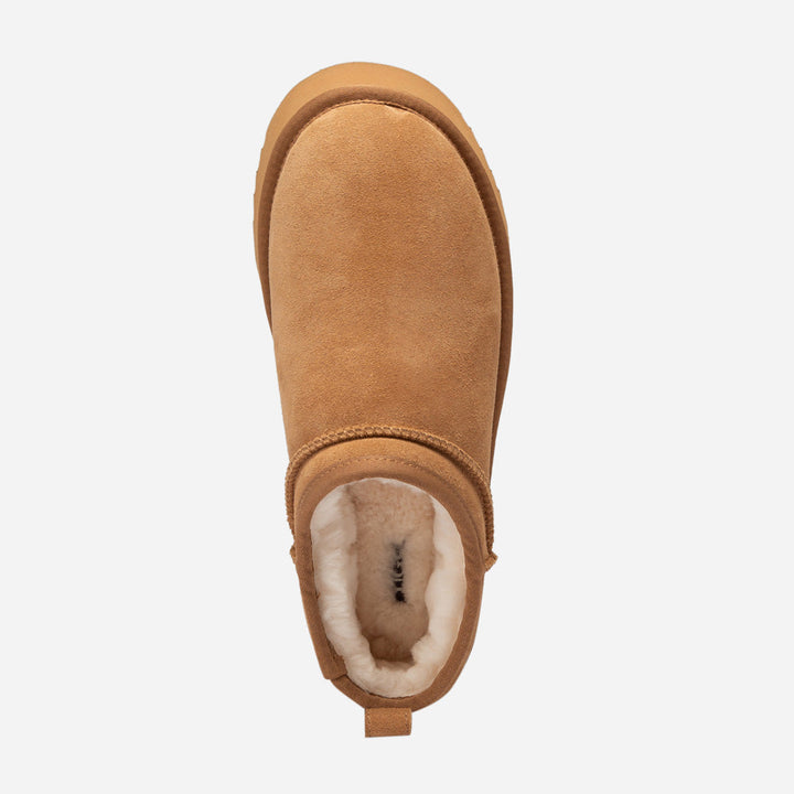 OZWEAR UGG Platform Microflex Mini Boots